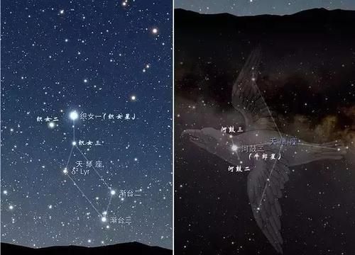 牛郎星和织女星属于哪个星系